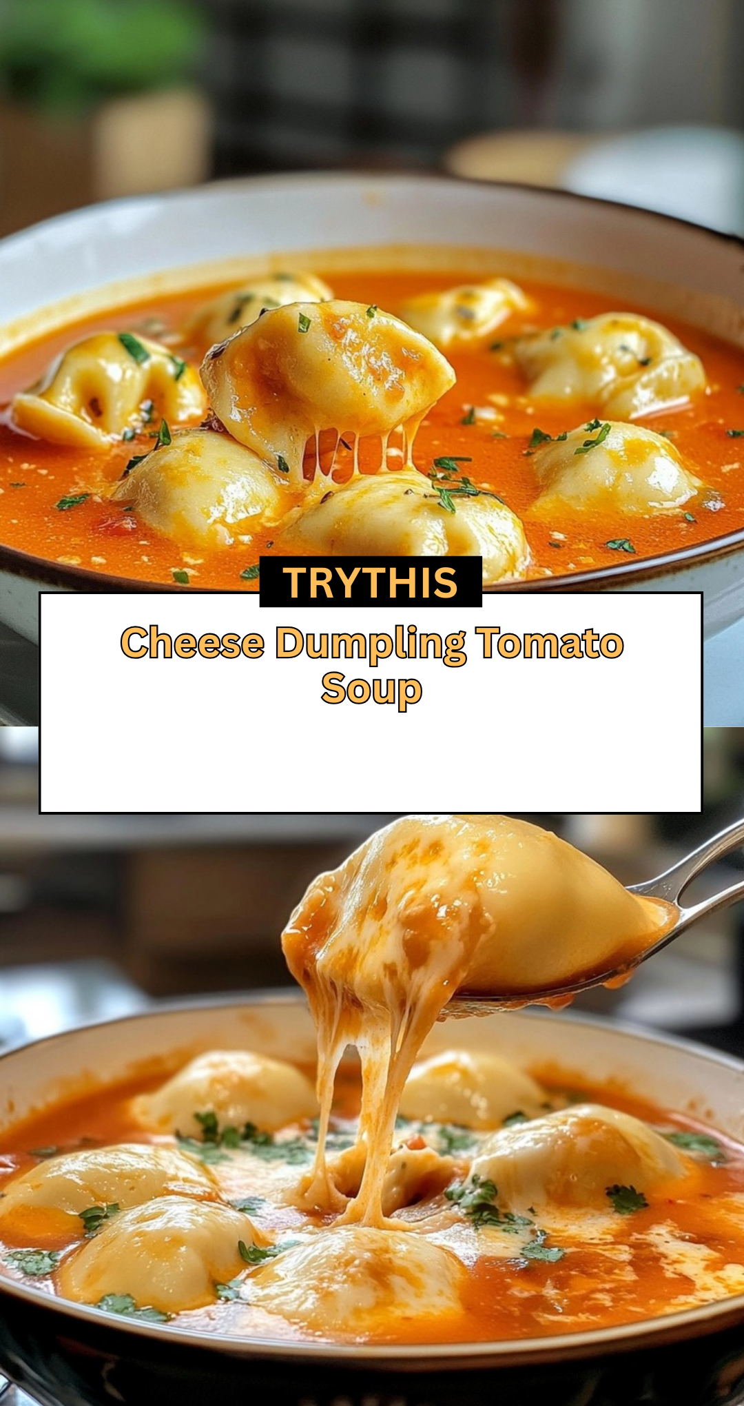 Cheese Dumpling Tomato Soup